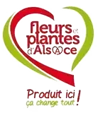 fleurs et plantes
